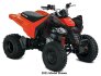 2022 Can-Am DS 250 for sale 201203893